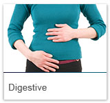 Digestive